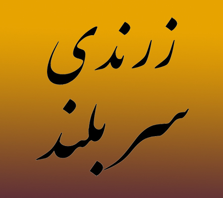 ۱۶سال تلاش برای ” زرند ” ی سربلند