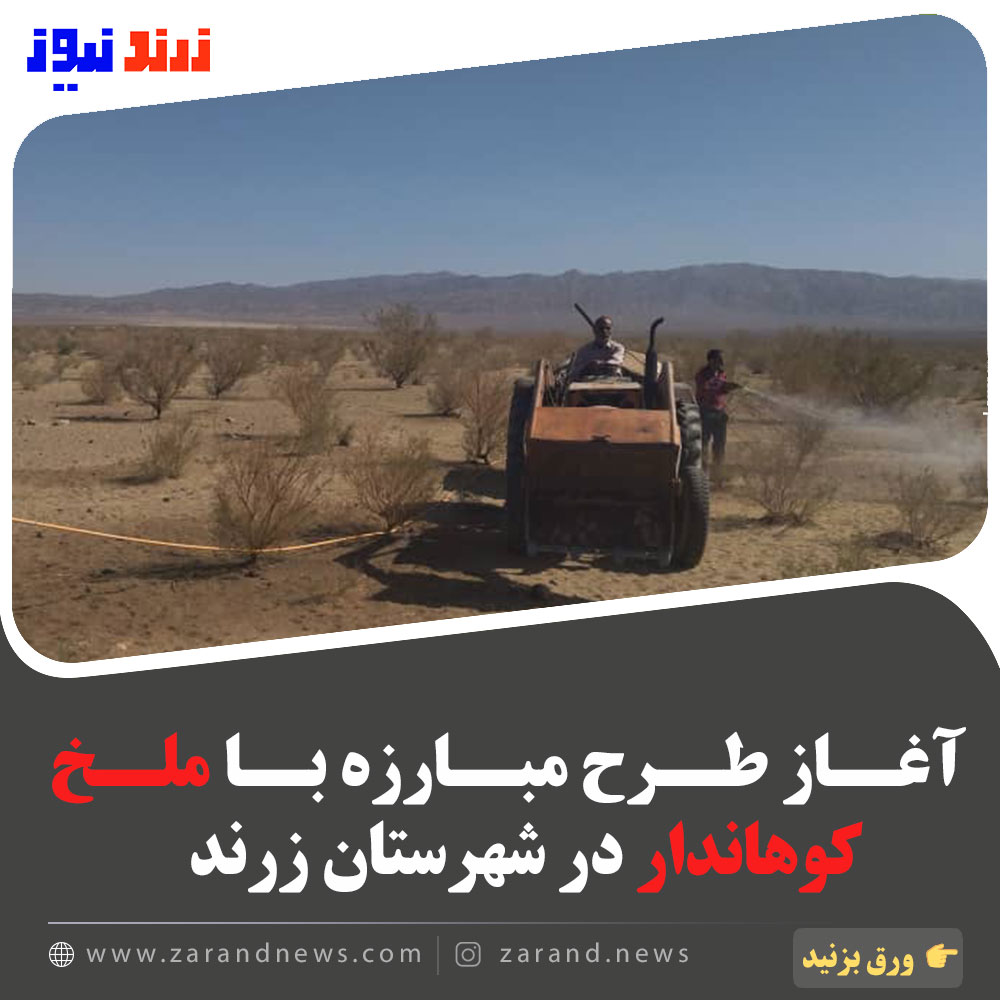 آغاز طرح مبارزه با ملخ کوهاندار در شهرستان زرند