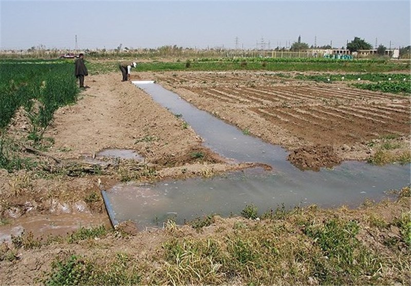 خسارت ۴۷۰ میلیارد ریالی سیل به کشاورزی زرند