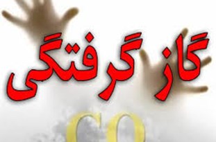 اعضای یک خانواده در سی‌ریز زرند دچار گازگرفتگی شدند