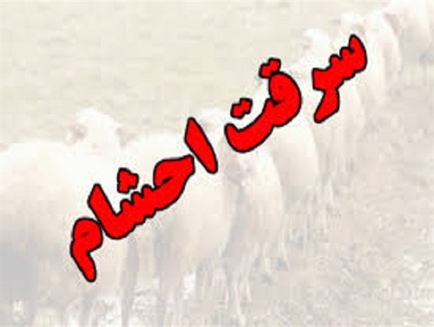 باند سرقت دام در زرند متلاشی شد
