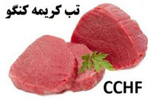 نبود مورد ابتلا به تب کریمه کنگو در استان کرمان