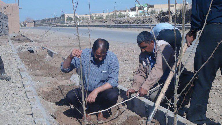 کاشت ۵۰۰ اصله درخت توسط شهرداری خانوک جهت گرامیداشت روز درختکاری