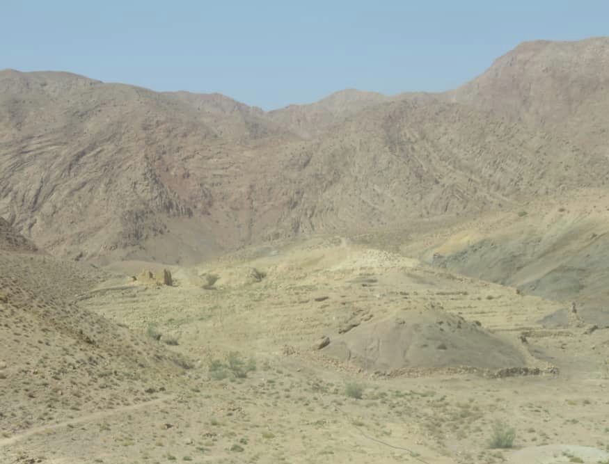 جلوگیری از برداشت غیرمجاز آنغوزه شیرین در منطقه سیریز