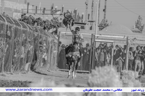 سری دوم گزارش تصویری همایش اسب دوستان
