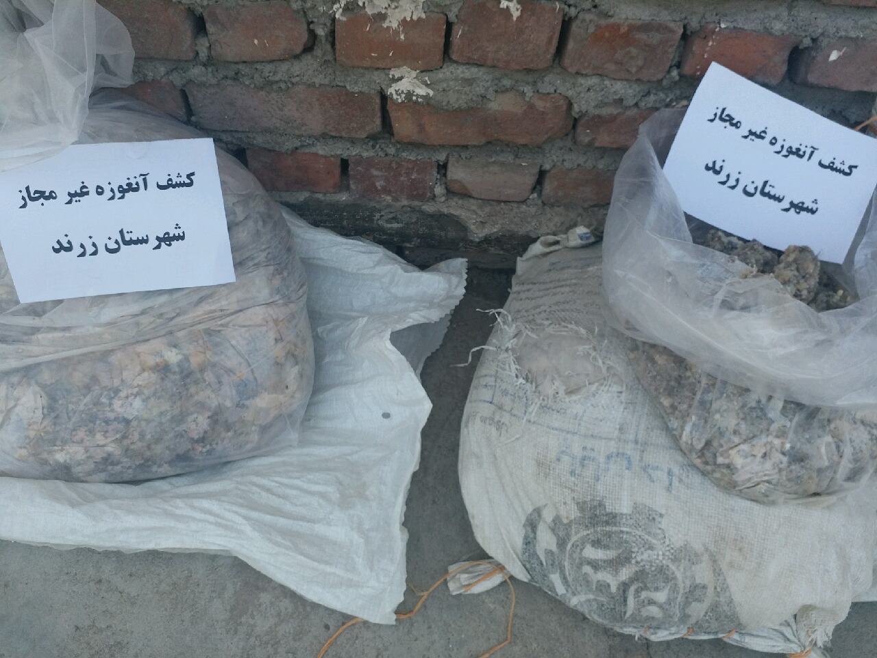 کشف محموله غیرمجاز گیاه دارویی آنغوزه در زرند