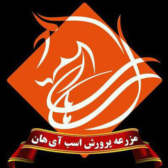 افتخار آفرینی مزرعه پرورش اسب آی هان زرند