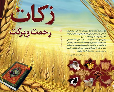 پلاک گذاری ۳۰۰ اصله درخت در طرح شجره طیبه زکات در سال جاری