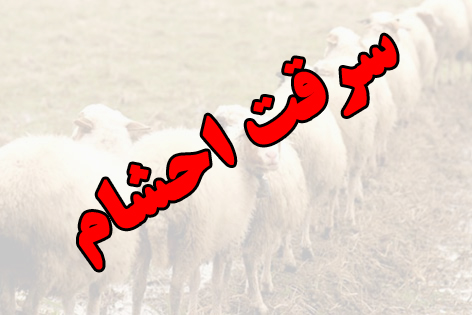 باند سارقان احشام در دام پلیس کوهبنان
