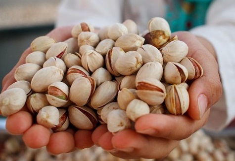 عرضه پسته در بورس به نفع صادر کننده و کشاورز است